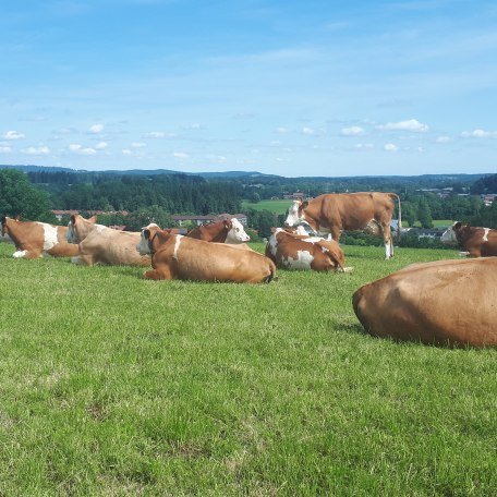 Heiß am Rain EKF