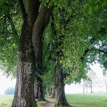 lightroom-69-von-108