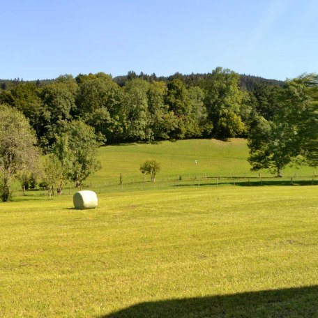 Aussicht, © im-web.de/ Gäste-Information Schliersee in der vitalwelt schliersee