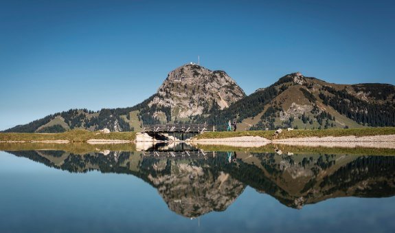 Zur Walleralm, Oberes Sudelfeld und zurück  (Tour Nr. 11b aus dem "RadlTraum Süd"), © Alpenregion Tegernsee Schliersee