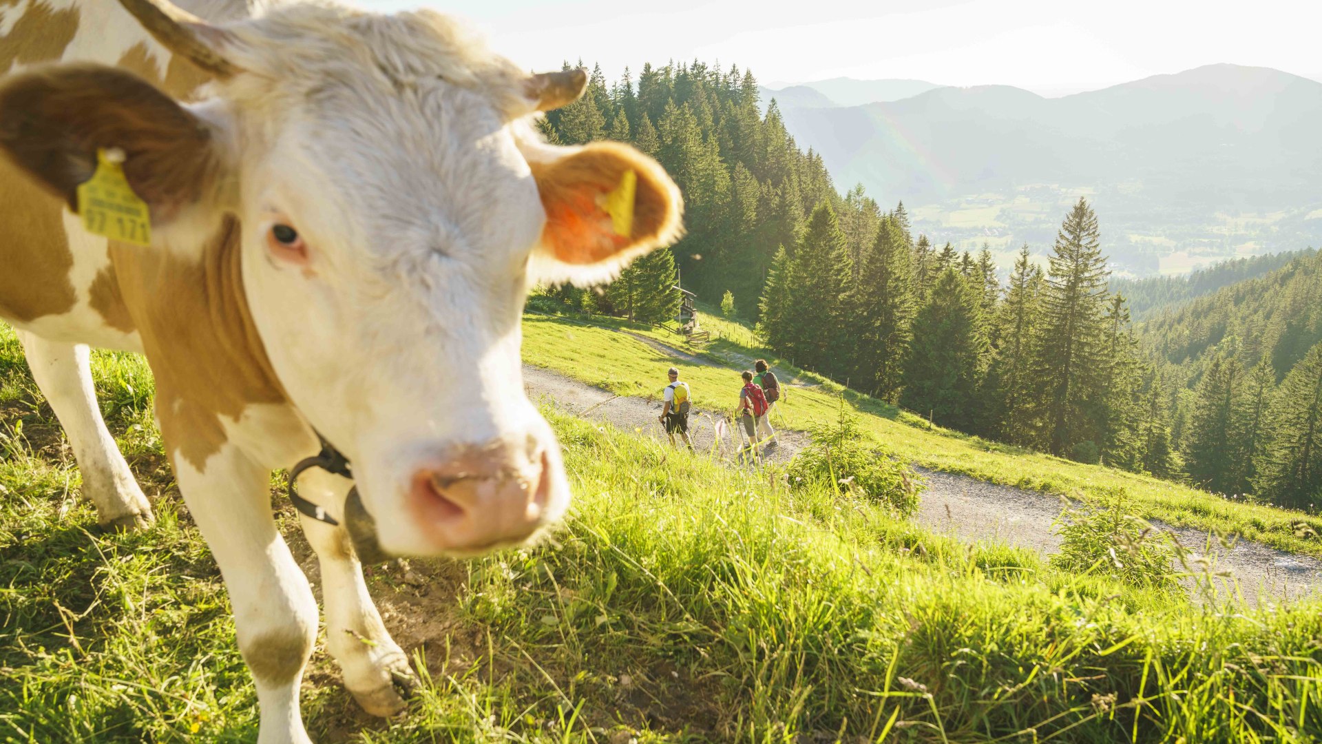 wandern-breitenstein-79, &copy; Dietmar Denger