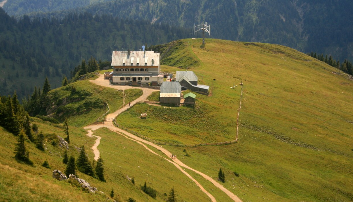 i, © Judith Weber i, © Judith Weber