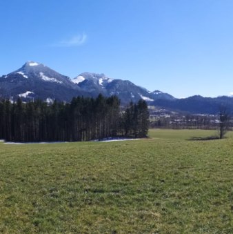 99c06907-fe35-4dbb-995f-dc4794434c68 99c06907-fe35-4dbb-995f-dc4794434c68