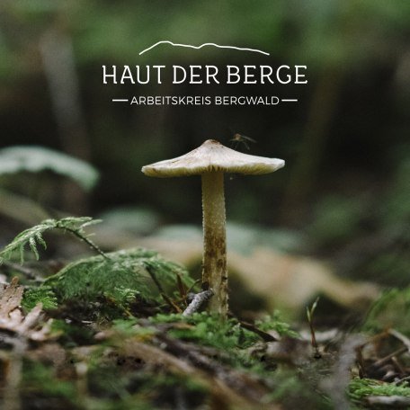 Haut der Berge 15.06, © Susanne Heim
