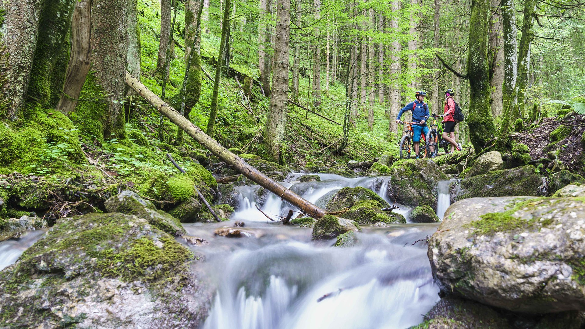 Die Natur lädt am Wegrand zum Beobachten und Rasten ein, © Dietmar Denger