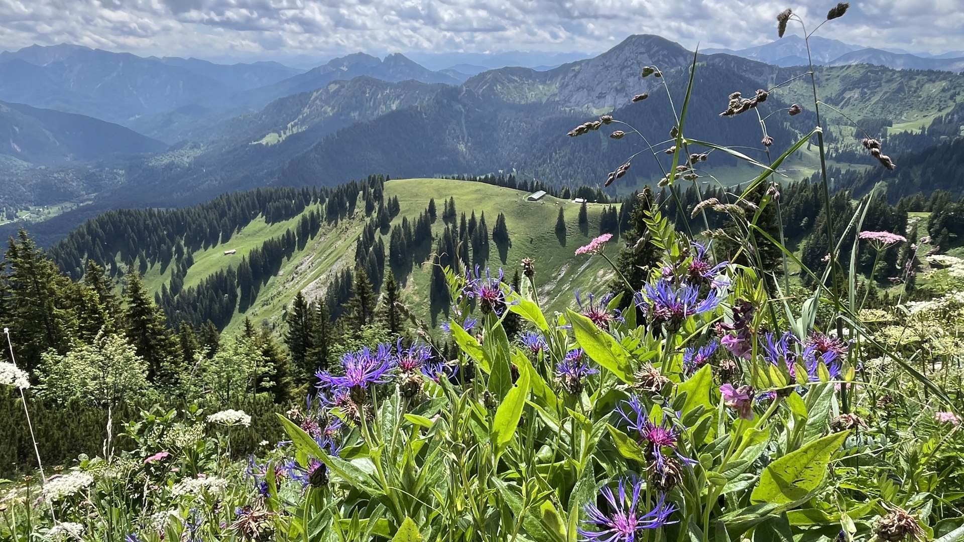 Kräutererlebnis-Wallbergbahn, © Julia Keck Kräutererlebnis-Wallbergbahn, © Julia Keck