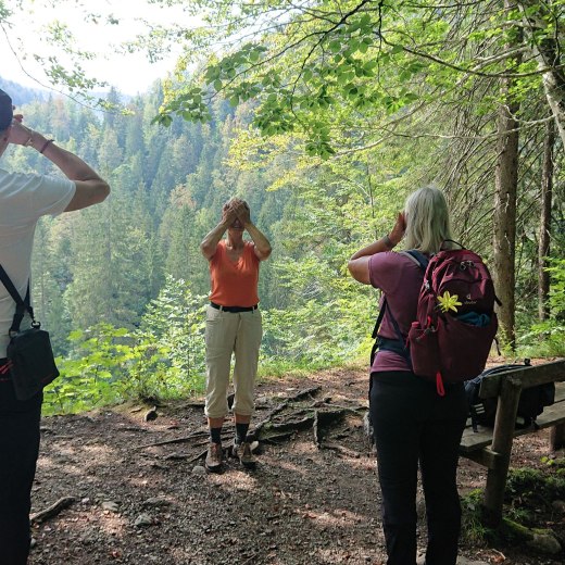 Augenwandern, © Sabine Nagl