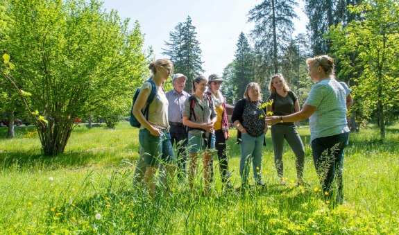 TTT_0524_TP_Event_Natuerlich Kreuth_Kraeuterwanderung_0010, &copy; TTT-Thomas Plettenberg