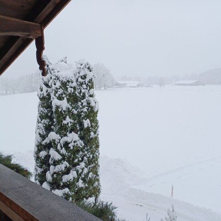 Ausblick Balkon, &copy; Biohof Oberlinner GbR