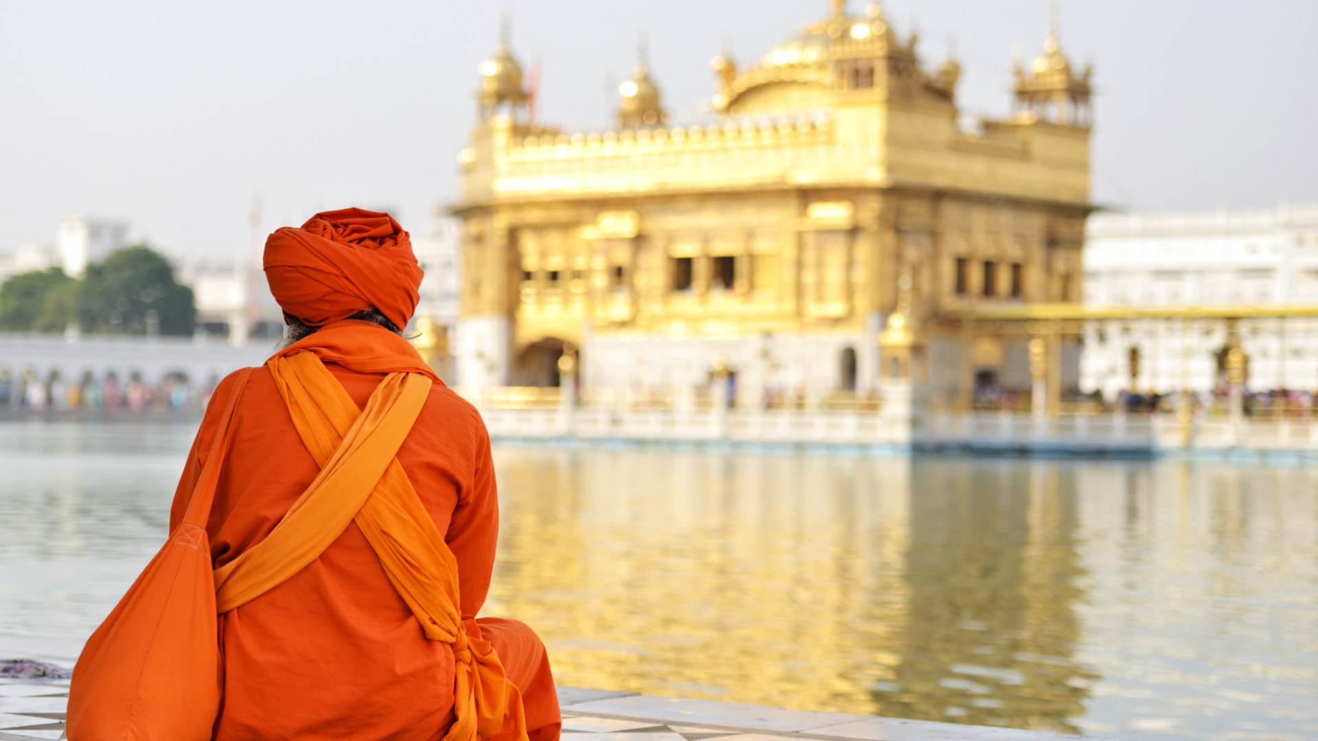 Indien_Violo_6 Indien_Violo_6