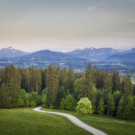 fruehling-shooting-2020-lowres_dietmar-denger-23