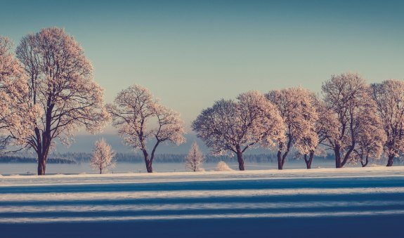 Kirchbichl-Loipe, © Alpenregion Tegernsee Schliersee