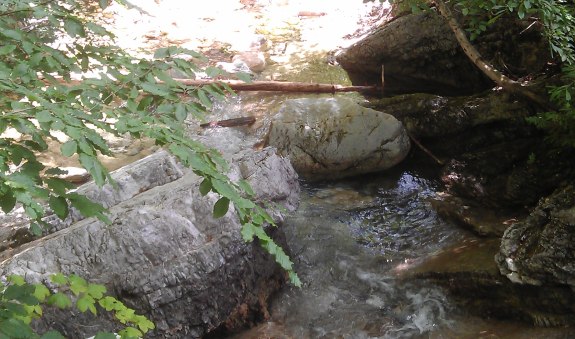 Willy_WasserfallMAG0695.jpg Willy_WasserfallMAG0695.jpg