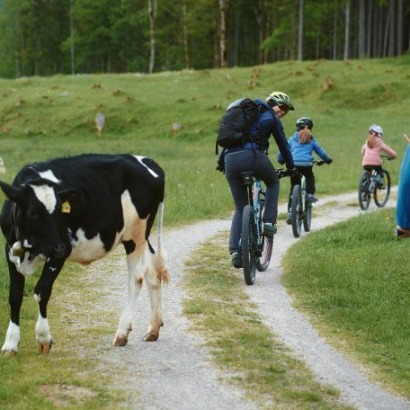 Familienradeln, © Matthis Waetzel