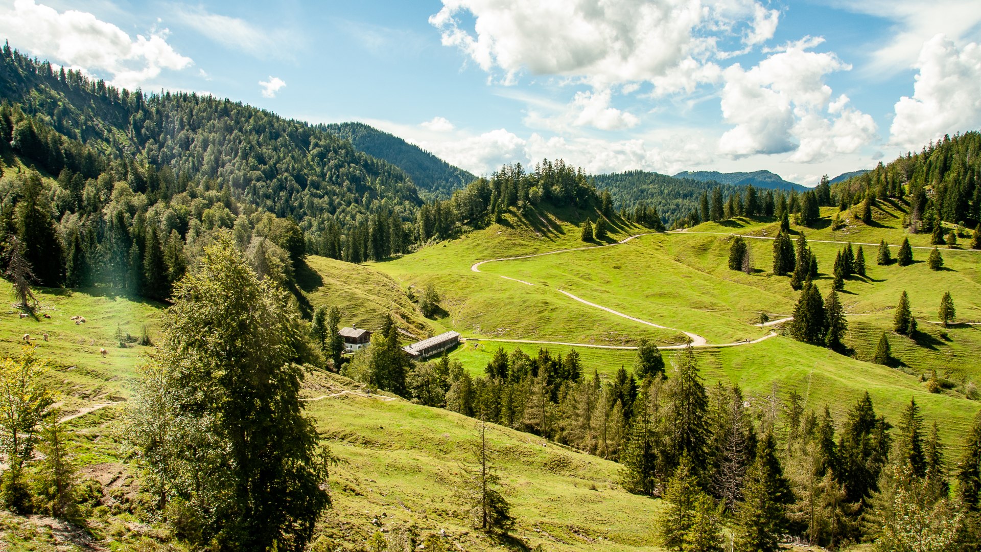 TTT_0820_SZM_Aktiv_K&ouml;nigsalm_Kreuth-0249, &copy; DER TEGERNSEE