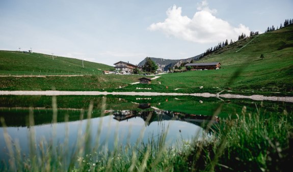 speck-alm_2