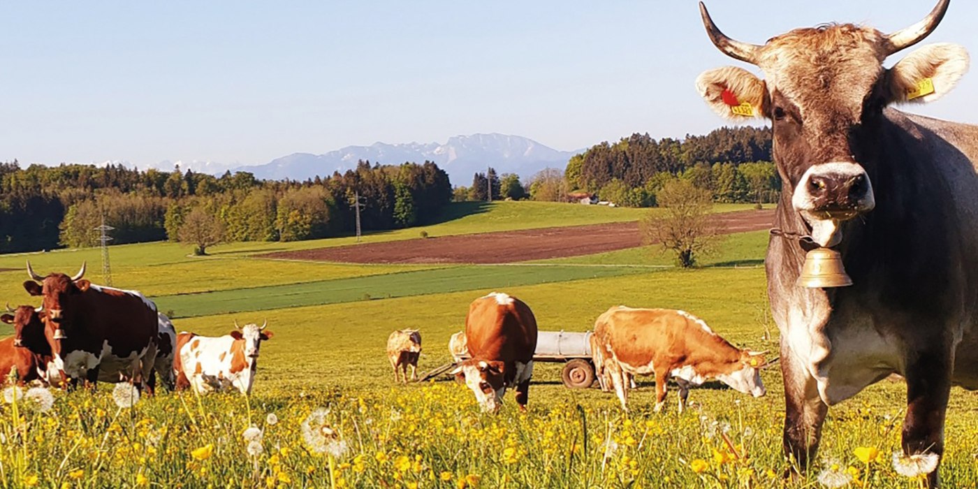 Stroblhof EKF Stroblhof EKF