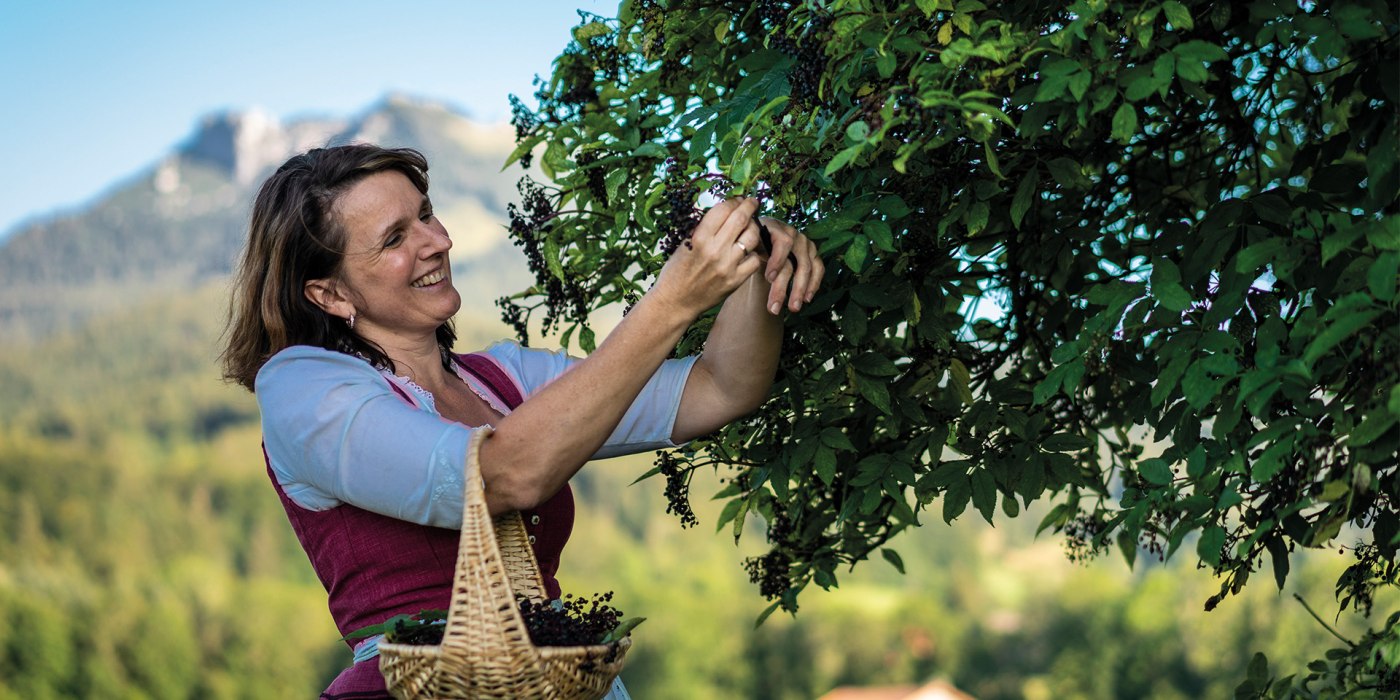 Kräuter-Kraft-Natur EKF Kräuter-Kraft-Natur EKF