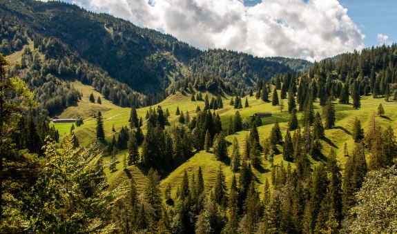 TTT_0820_SZM_Aktiv_Königsalm_Kreuth-0158, © TTT-Plettenberg TTT_0820_SZM_Aktiv_Königsalm_Kreuth-0158, © TTT-Plettenberg