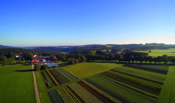 Biogut Wallenburg EKF