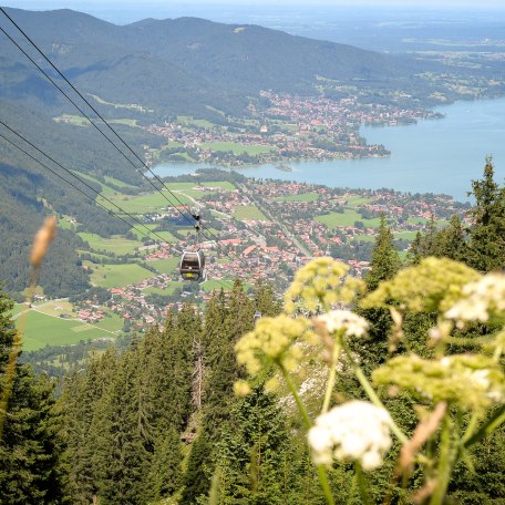 wallberg_fotograf_gisela-schregle_140804_35, © Gisela Schregle wallberg_fotograf_gisela-schregle_140804_35, © Gisela Schregle