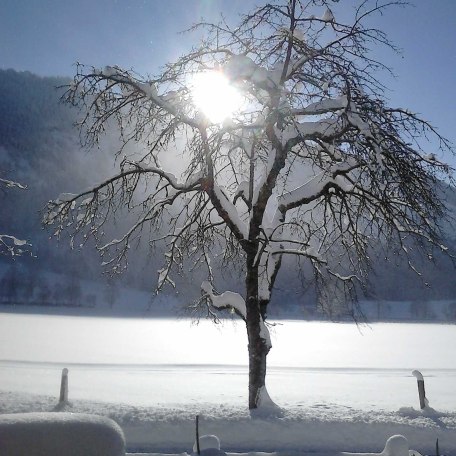 Die Loipe vom Haus, © im-web.de/ Kur- und Tourist-Info Bayrischzell