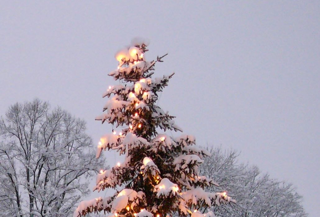 mbwinter457stadtmiesbach