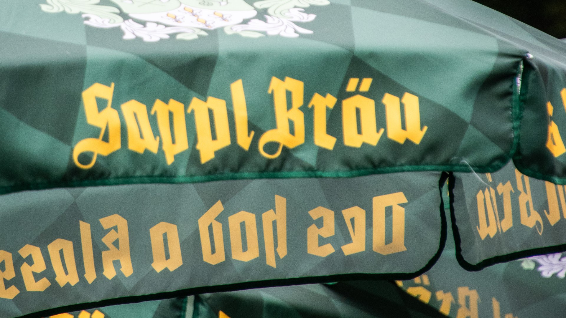 DSC_0099-6 DSC_0099-6